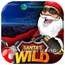 Microgaming242